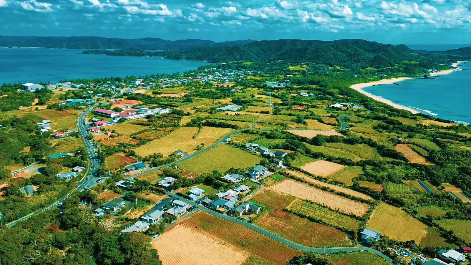 ANnCO MIURA Artist in Residence in Amami cover image