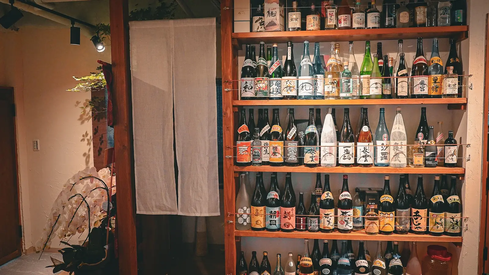 黒糖焼酎専門居酒屋 KATAYORI cover image